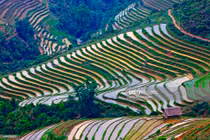 Ba miền Việt Nam tuyệt đẹp qua ống kính John Banagan