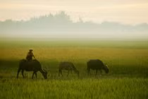 Ảnh đẹp mê mẩn về Huế, Đà Nẵng năm 1967 