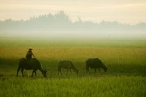 Ảnh đẹp mê mẩn về Huế, Đà Nẵng năm 1967 