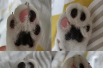 Ảnh chứng minh thế giới luôn tồn tại những phép màu 