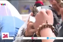 Làm sao chơi đồ cổ cho đáng "đồng tiền bát gạo"?