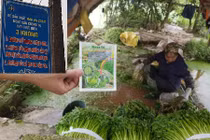 Sự thật khủng khiếp ở vựa rau an toàn cung ứng cho Hà Nội