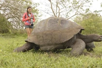 Loạt sinh vật lạ ai cũng muốn "đụng" khi thám hiểm Galapagos