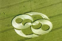 Cận cảnh tuyệt tác của “người ngoài hành tinh” trên Trái đất