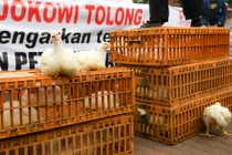 Đặc sắc tặng gà con và hạt giống giúp học sinh “cai nghiện” game