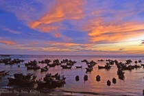 Ảnh độc về vùng Nam Trung Bộ những năm 1990 