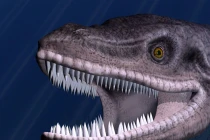 Những sinh vật bí ẩn trong lịch sử Việt Nam