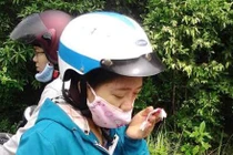 Du khách bị khỉ tấn công tóe máu mắt ở Đà Nẵng