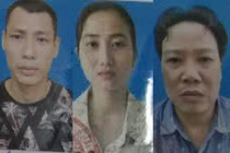 Phá đường dây mang thai hộ giá nửa tỷ đồng tại Hà Nội