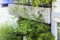 'Nhà tre' như rừng cây trong hẻm Sài Gòn, vừa tắm vừa nghe chim hót