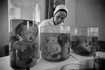 Vũ khí hóa học khủng khiếp Mỹ sử dụng trong CTVN 