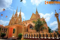 Giải mã ngôi chùa cò đua nhau về làm tổ độc nhất VN