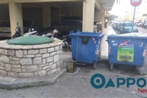 Đang cho mèo ăn, người phụ nữ thấy điều bất ngờ trong thùng rác