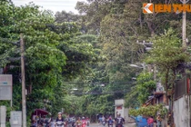 “Khu rừng” tuyệt đẹp trong ngôi chùa ở Sài Gòn 