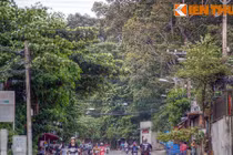 “Khu rừng” tuyệt đẹp trong ngôi chùa ở Sài Gòn 