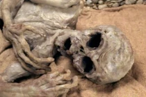 Tận mục vật chứng 4.000 năm của nền văn hóa Phùng Nguyên