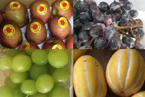 Ăn chảnh hàng ngoại: Tranh mua táo héo, nho rụng, dưa sứt vỏ