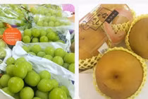 Dân sành bạo chi mua hoa quả Nhật - Hàn