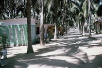 Ảnh độc về trại phong Quy Hòa năm 1965 