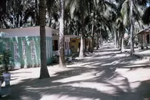 Ảnh độc về trại phong Quy Hòa năm 1965 