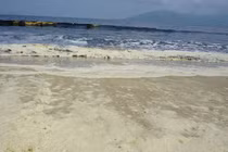 Lạ lùng biển Đà Nẵng bất ngờ đổi màu váng ố