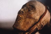 Huyền thoại những xác ướp trên Con đường tơ lụa 