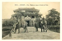 Tận mục dàn voi chiến hoành tráng của nhà Nguyễn