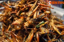 Chết khiếp với thế giới ẩm thực côn trùng ở Thái Lan