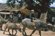 Kho ảnh khổng lồ về VN 1991-1993: Đời thường ở Điện Biên