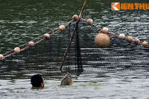 Ảnh độc: Bộ đội đặc công bắt cụ Rùa Hồ Gươm 2011