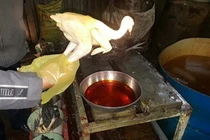 Cách tránh mua phải lợn tạo nạc và gà vàng ô