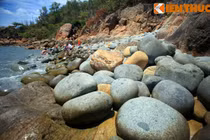 Ngắm hàng nghìn “trứng khủng long” ở VN