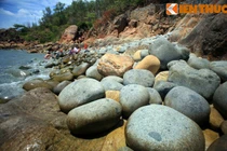 Ngắm hàng nghìn “trứng khủng long” ở VN