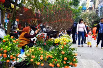 Dự báo thời tiết từ nay đến Tết Nguyên đán Ất Mùi