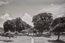 Diện mạo Văn Miếu - Quốc Tử Giám thập niên 1920