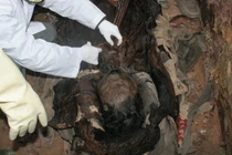 Những chuyện tâm linh huyền bí chấn động Việt Nam 2013