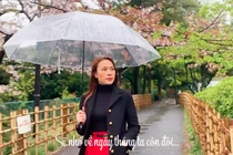 Chỉ cần diện đồ 'sương sương' trăm triệu, Mỹ Tâm cũng khiến fan phát cuồng 