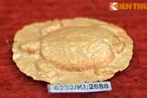 Tận mục kho báu vàng ròng của nền văn hóa bí ẩn ở Lâm Đồng