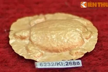 Tận mục kho báu vàng ròng của nền văn hóa bí ẩn ở Lâm Đồng