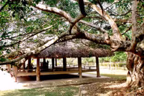 Những điểm “hành hương” ý nghĩa ngày Quốc khánh 2/9 