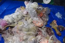 Chở hơn 1 tấn thịt lợn lở mồm long móng vào chợ Bình Điền