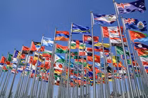 10 sự kiện lịch sử của thế kỷ 20 diễn ra đúng ngày đầu năm mới