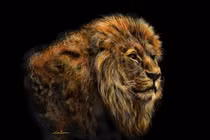 Lặng ngắm những bức tranh vẽ từ iPad đẹp không tưởng (1)