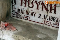 Hé lộ về nơi chôn cất anh em ông Ngô Đình Diệm