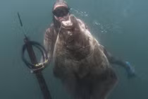 Thợ lặn câu được thủy quái siêu to, khổng lồ