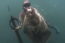 Thợ lặn câu được thủy quái siêu to, khổng lồ