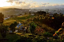 Ngắm Đà Lạt 4 mùa mát lạnh qua ống kính khách Tây