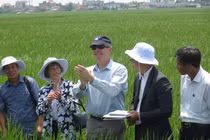Đại sứ Mỹ đội nắng, lội ruộng cùng nông dân Nam Định