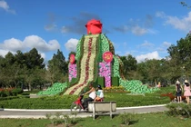 Oái oăm những kỷ lục... vô bổ, lãng phí ở Đồng Tháp 