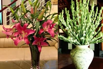 Kiêng kị thờ cúng hoa tươi trên bàn thờ ngày tết tránh xui rủi